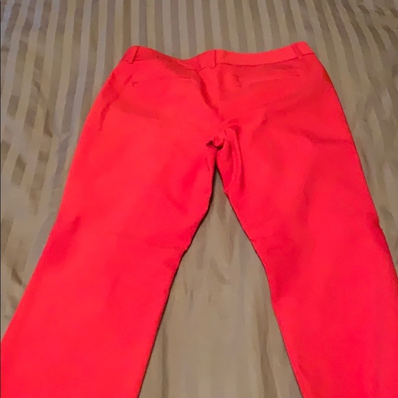 Express pants - Picture 4 of 4